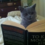 cat-reading